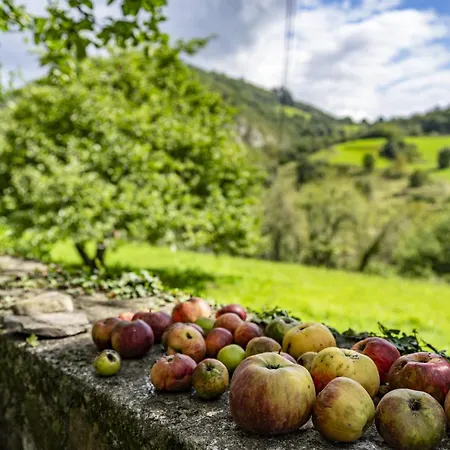 La Casita De Heidi Onís